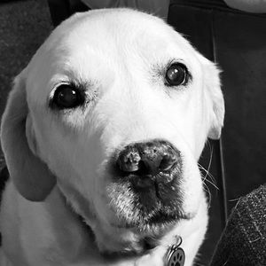 Meet your Posher, Patti